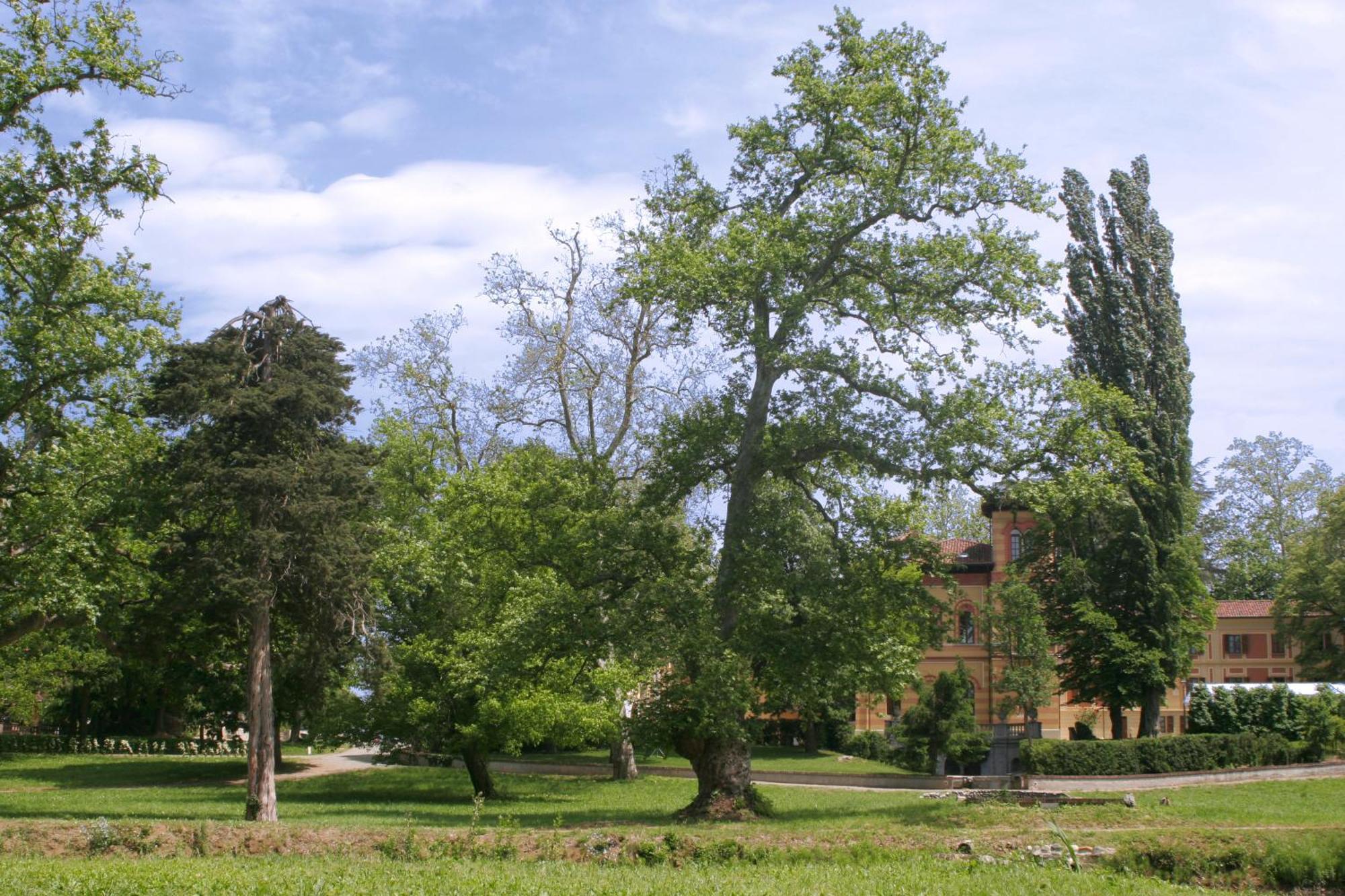 Villa Scati Bed And Breakfast Мелаццо Экстерьер фото